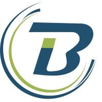 bizinsights Logo